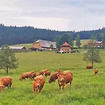 Salenhof *