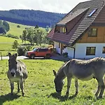 Salenhof Apartamento