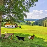 Apartment Salenhof Titisee-Neustadt