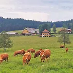 Salenhof Titisee-Neustadt