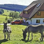Salenhof Titisee-Neustadt