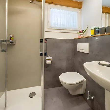 Salenhof Apartment Titisee-Neustadt