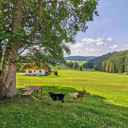 Salenhof Apartment