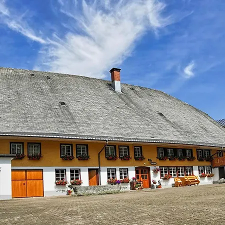 Salenhof Apartment Titisee-Neustadt
