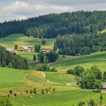 Salenhof Apartman Titisee-Neustadt