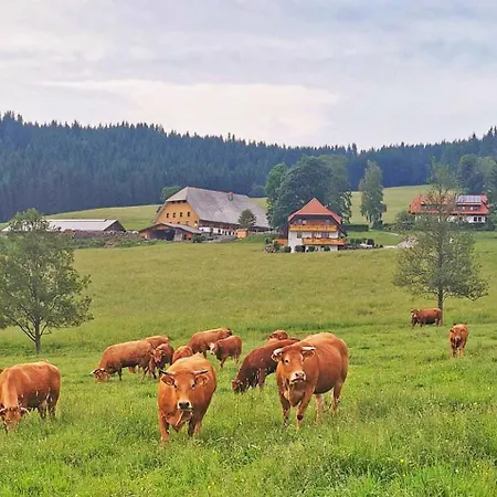 Salenhof *