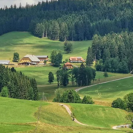 Salenhof Apartment Titisee-Neustadt