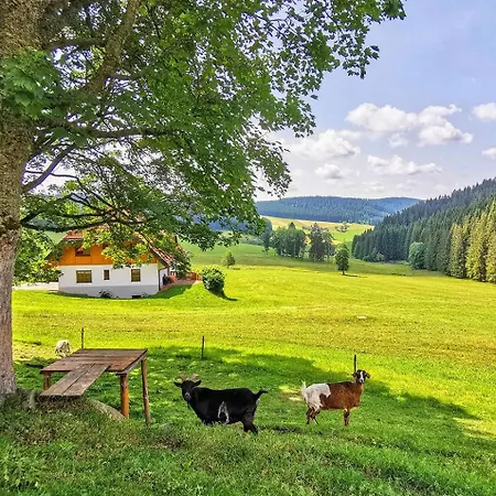 Διαμέρισμα Salenhof Titisee-Neustadt