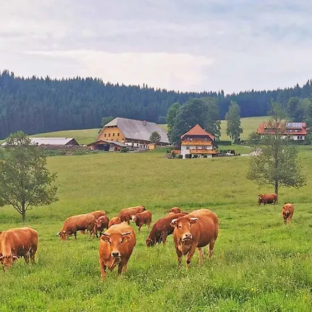 Salenhof Titisee-Neustadt